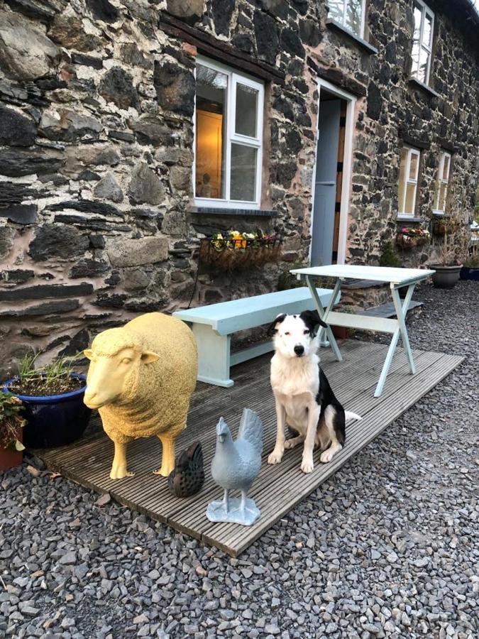 Bryn Glas Wales Villa Llangynog Bagian luar foto